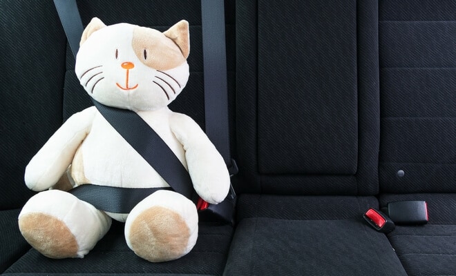 Does insurance cover car seat replacement after accident information
