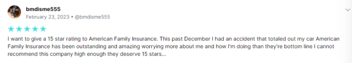 5-star review of American Family claims processing