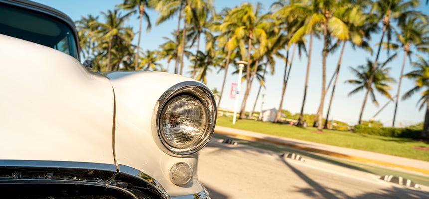 Closeup of vintage car with palm tree backdrop