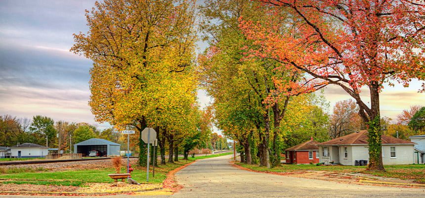 Wide shot of Springfield, MO street during autumn