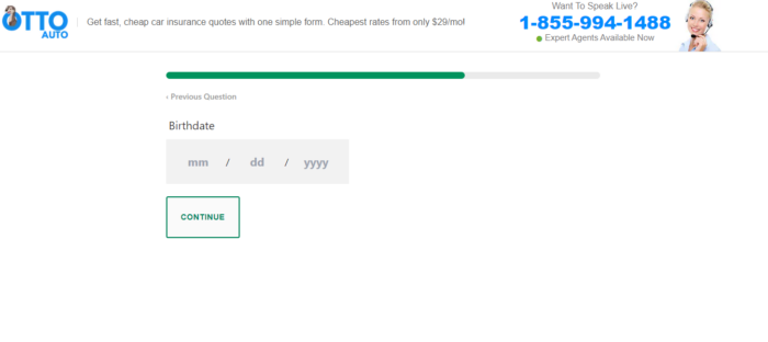 Otto insurance quote form asking for birthdate